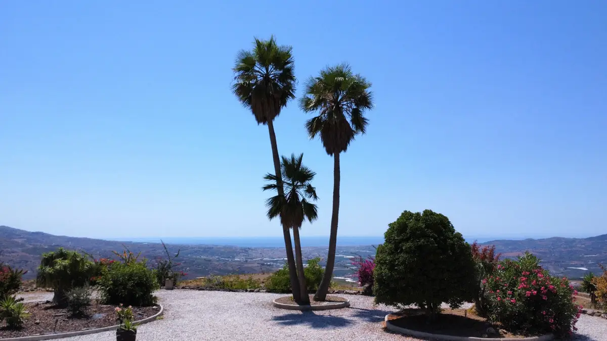 Detached Villa for sale in El Trapiche — photo 1