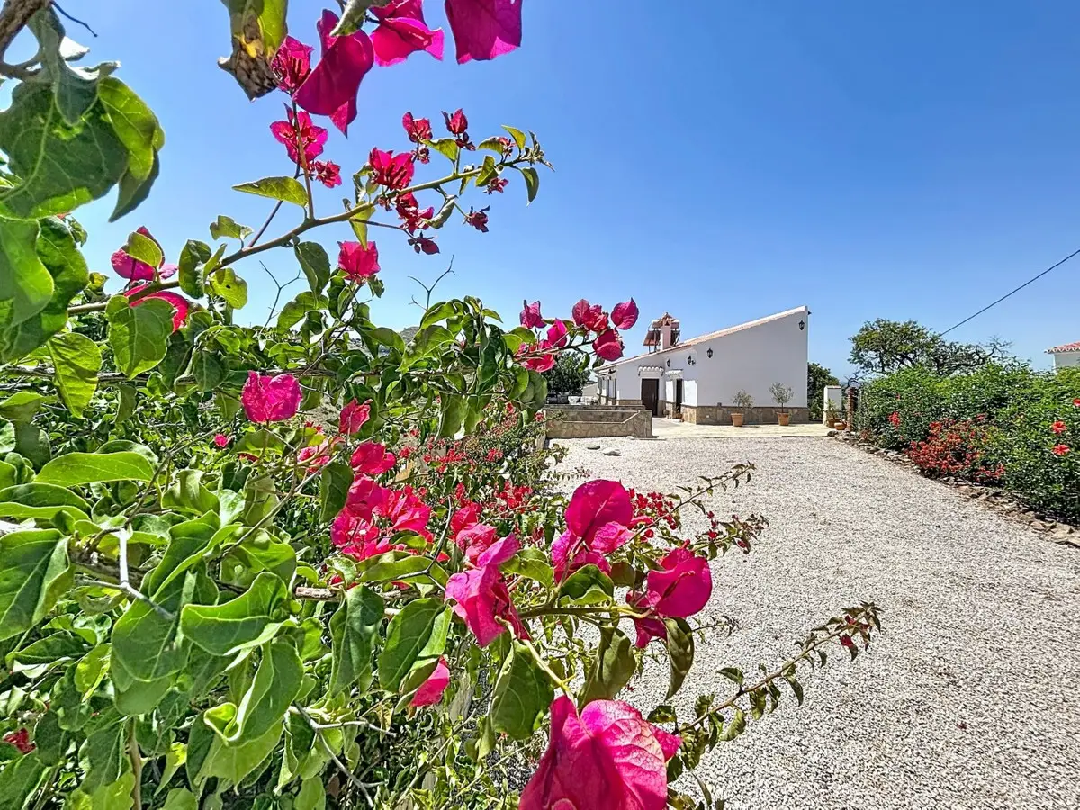 Detached Villa for sale in Canillas de Aceituno — photo 1