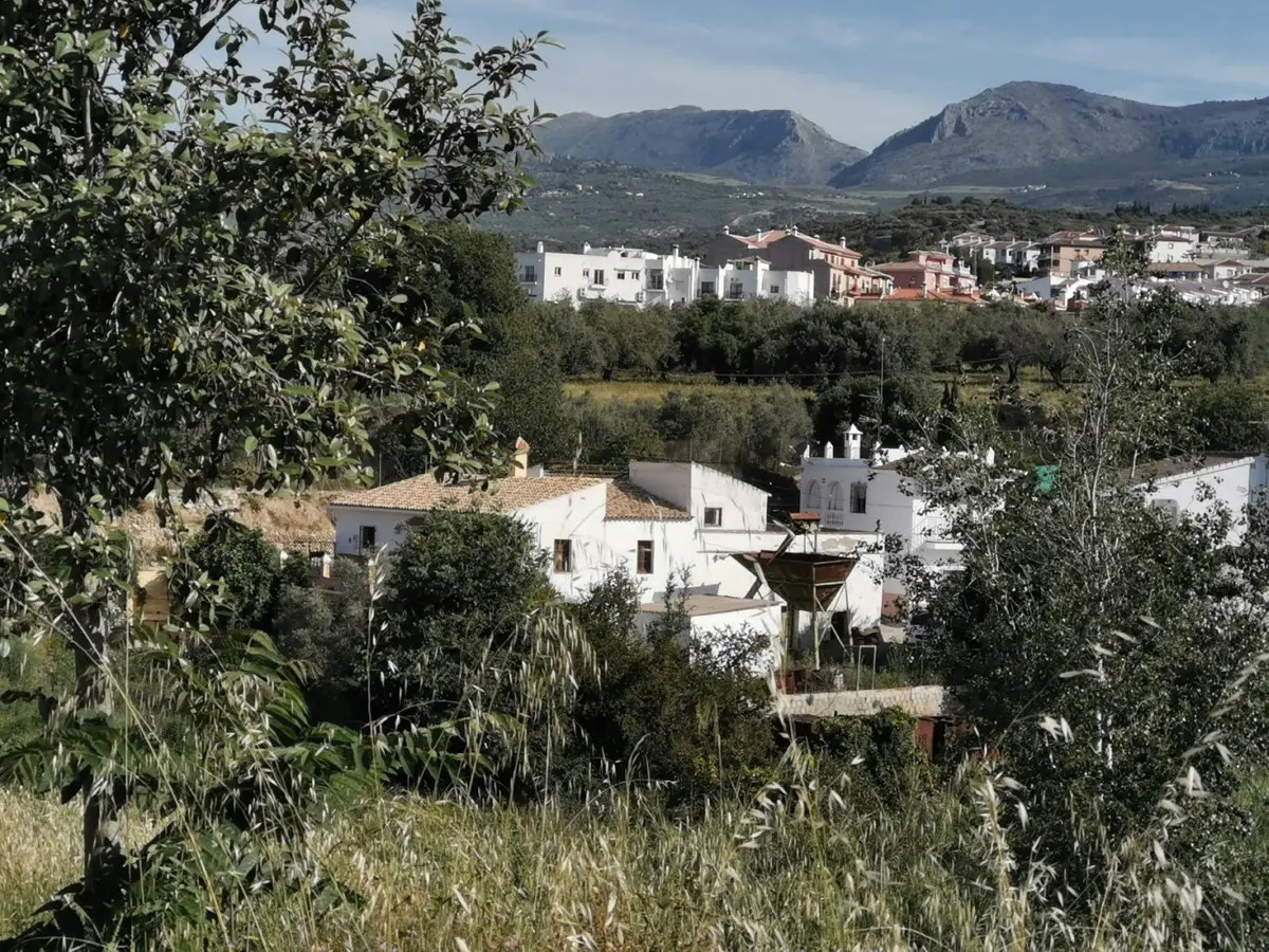 Finca - Cortijo for sale in Alcaucín — photo 1