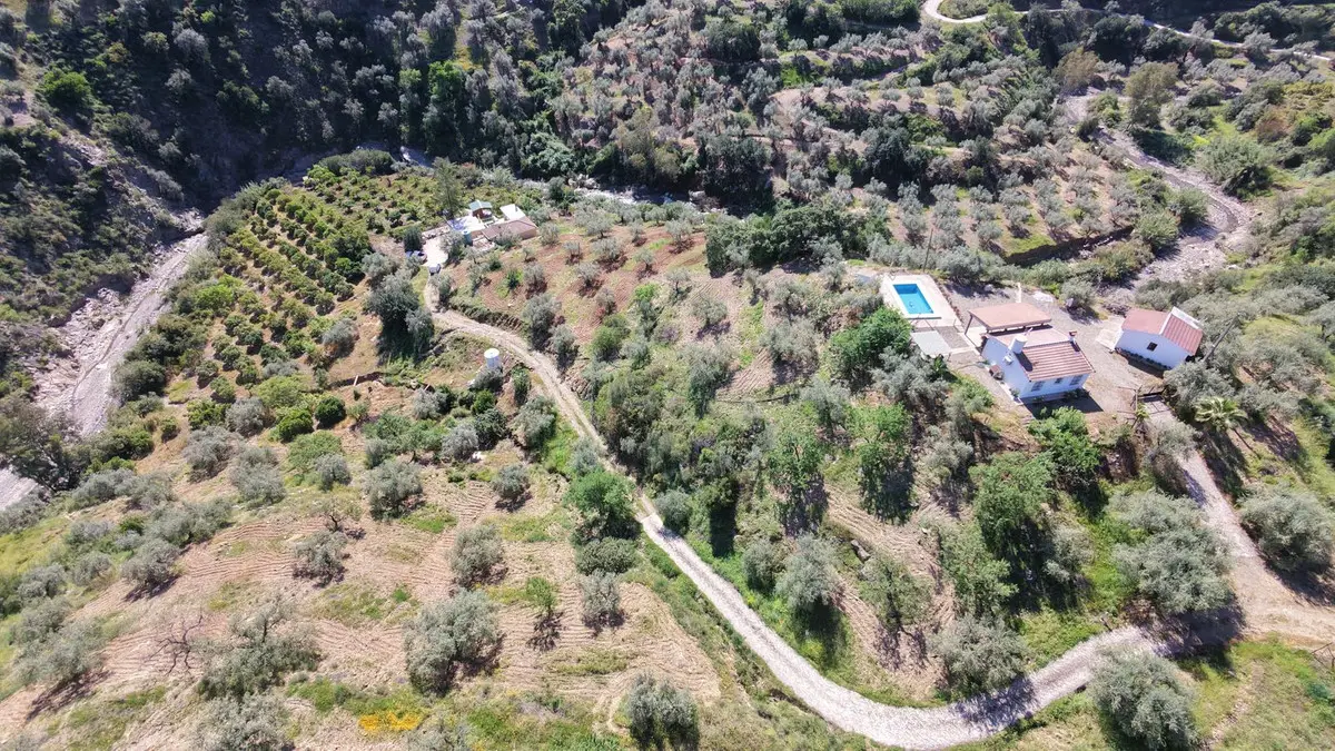Finca - Cortijo for sale in Comares — photo 1