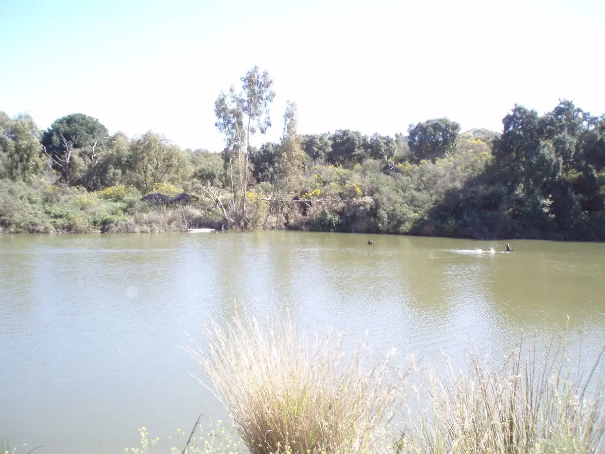 Land for sale in Mijas — photo 1