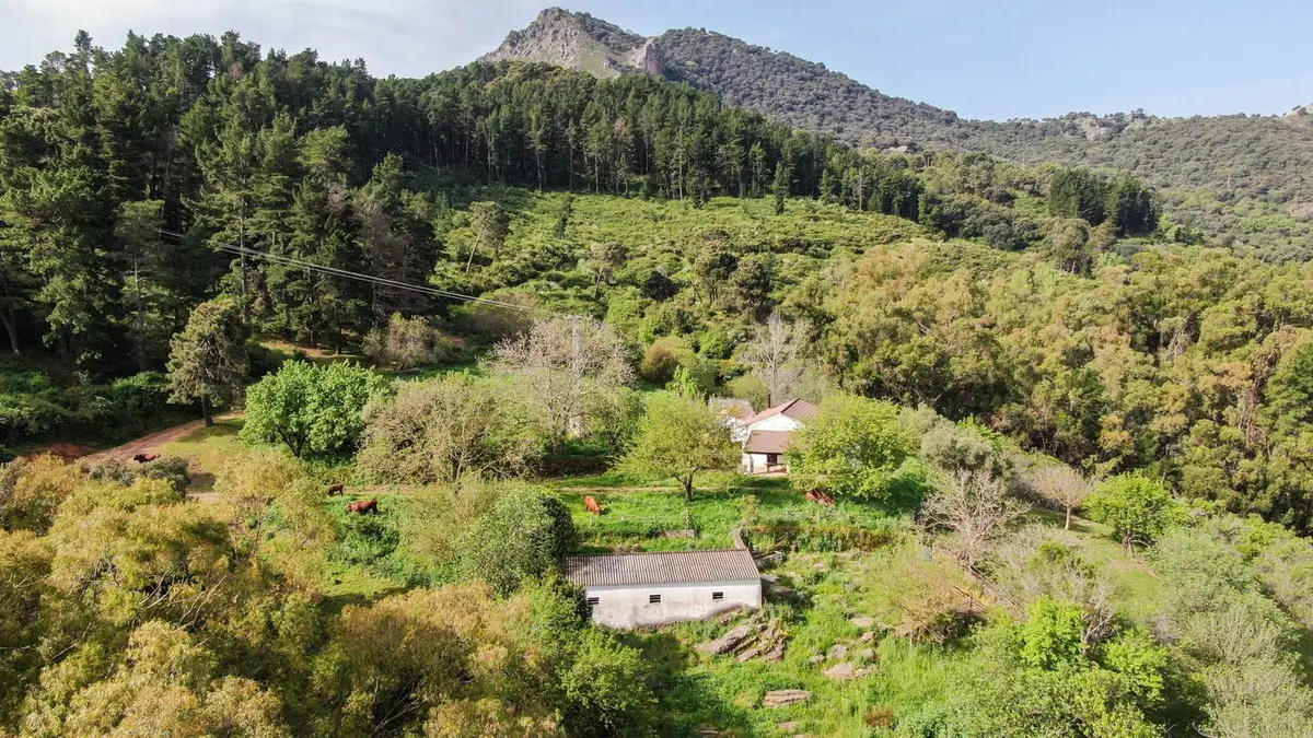 Finca - Cortijo for sale in Gaucín — photo 1