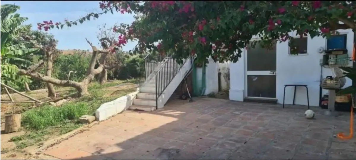 Finca - Cortijo for sale in Campo Mijas — photo 1