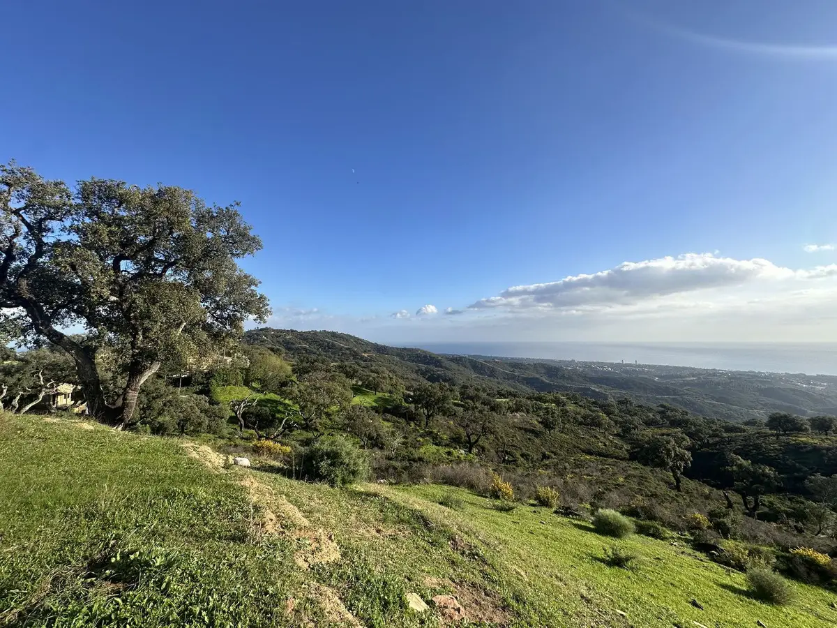 Land for sale in La Mairena — photo 1