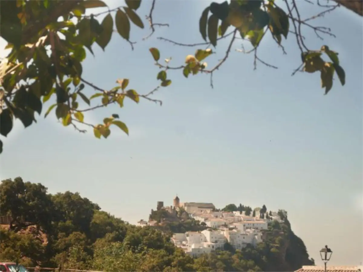 Finca - Cortijo for sale in Casares — photo 1