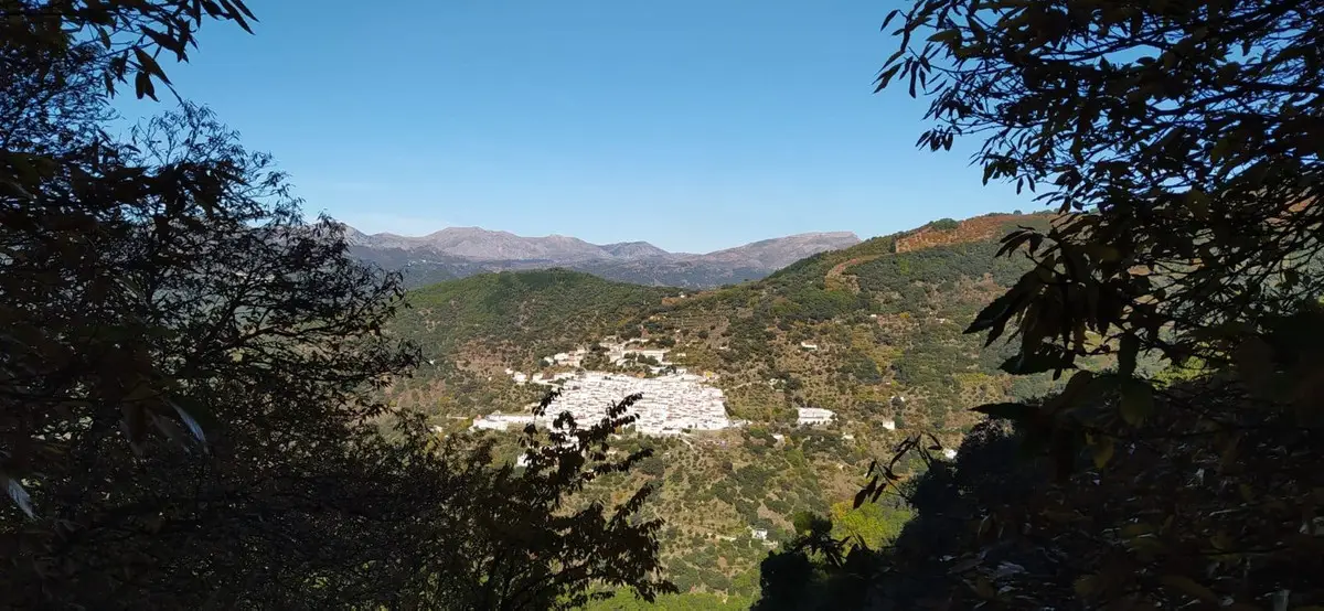 Finca - Cortijo for sale in Jubrique — photo 1