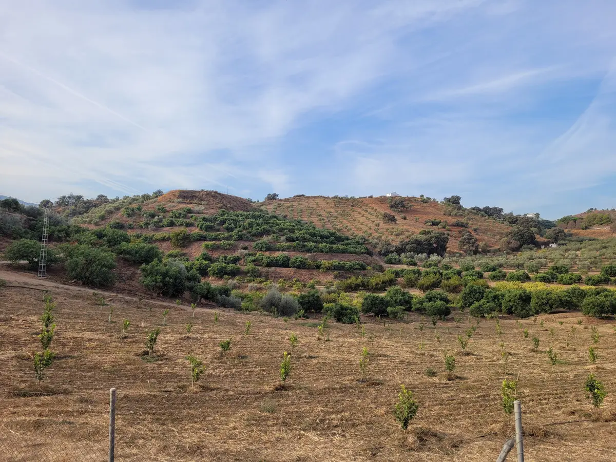 Land for sale in Guaro — photo 1