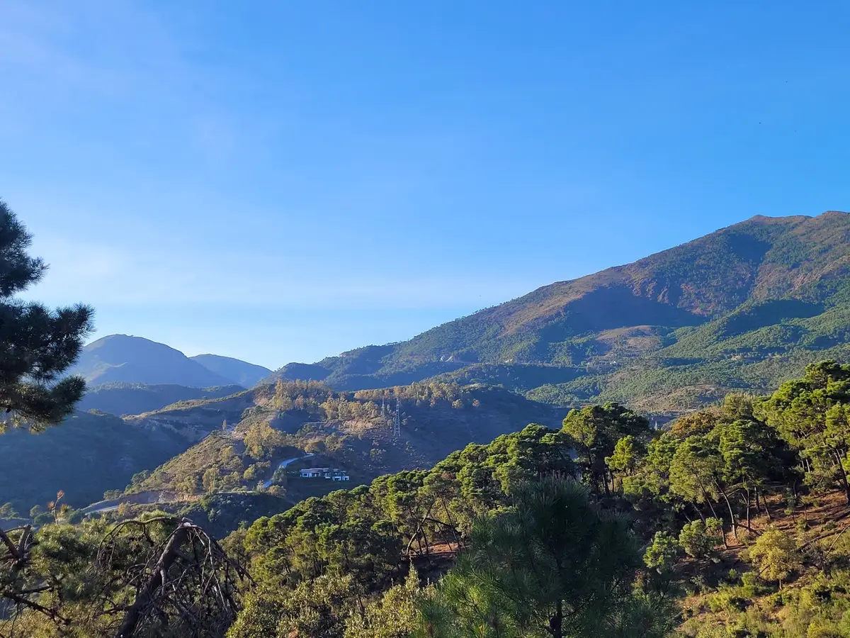 Land for sale in La Zagaleta — photo 1
