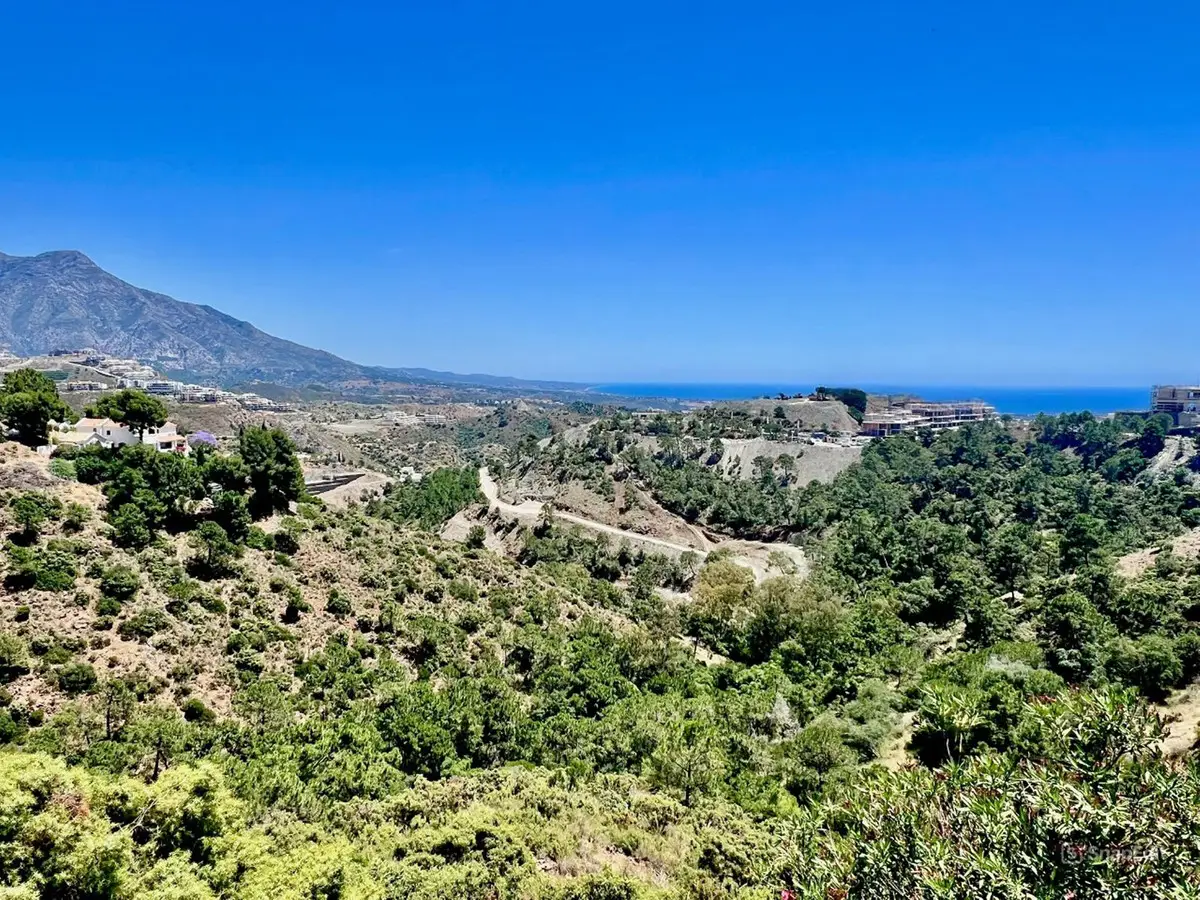 Residential Plot for sale in El Madroñal — photo 1