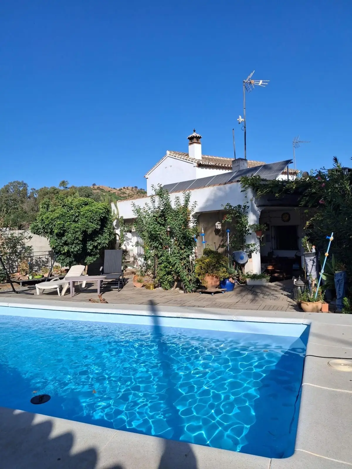 Finca - Cortijo for sale in Coín — photo 1