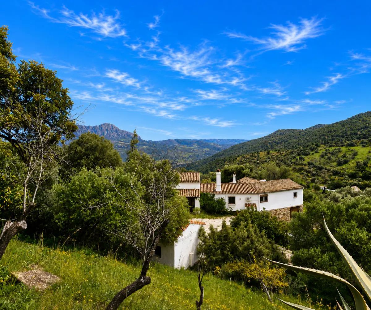 Finca - Cortijo for sale in Gaucín — photo 1