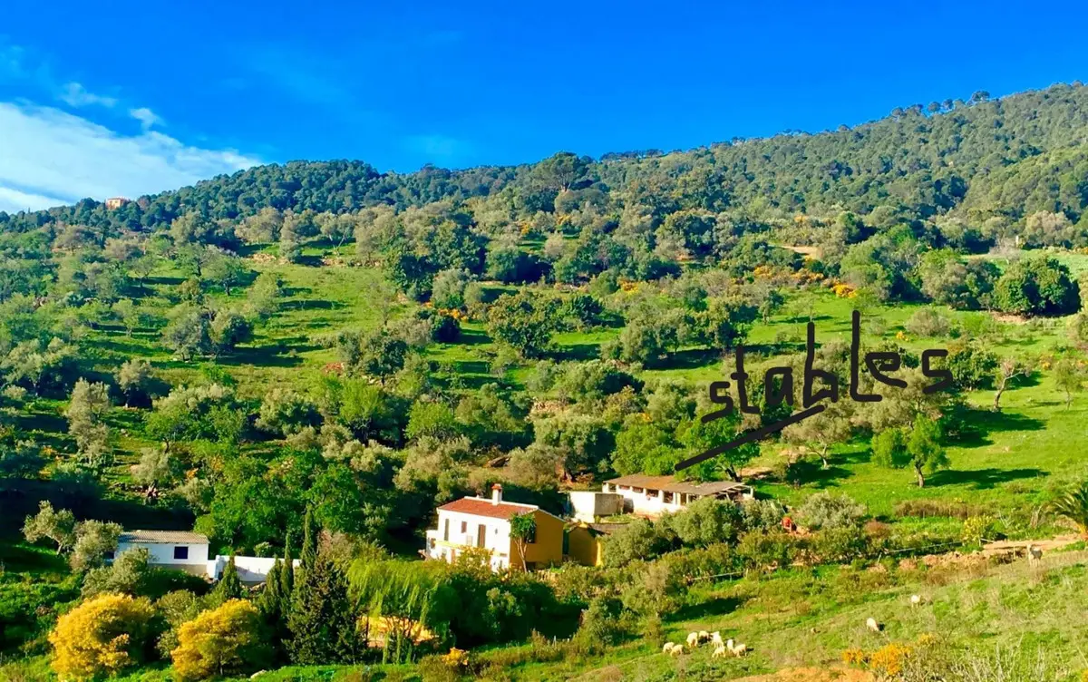 Finca - Cortijo for sale in Gaucín — photo 1
