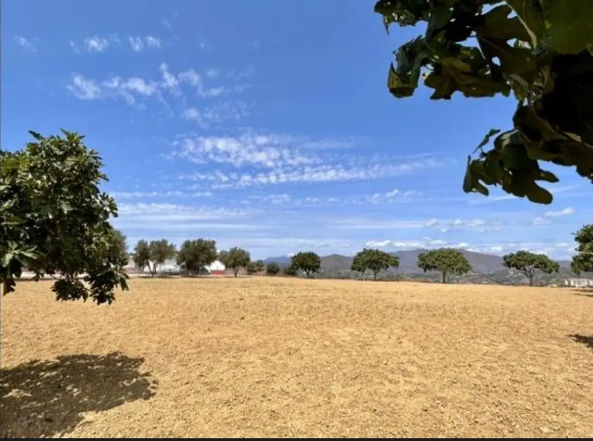 Land for sale in Mijas — photo 1