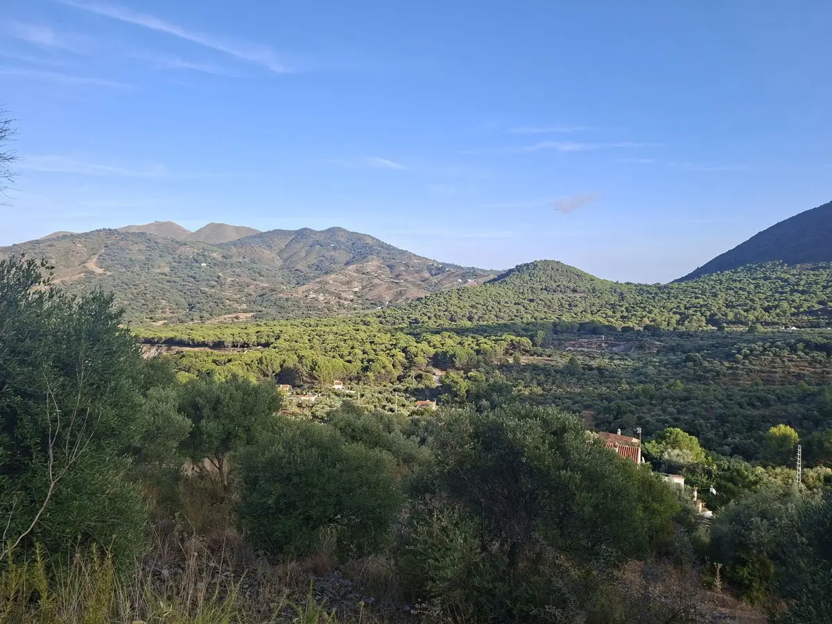 Finca - Cortijo for sale in Ojén — photo 1