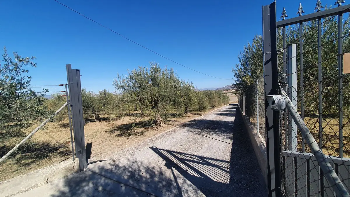 Land for sale in Alhaurín el Grande — photo 1