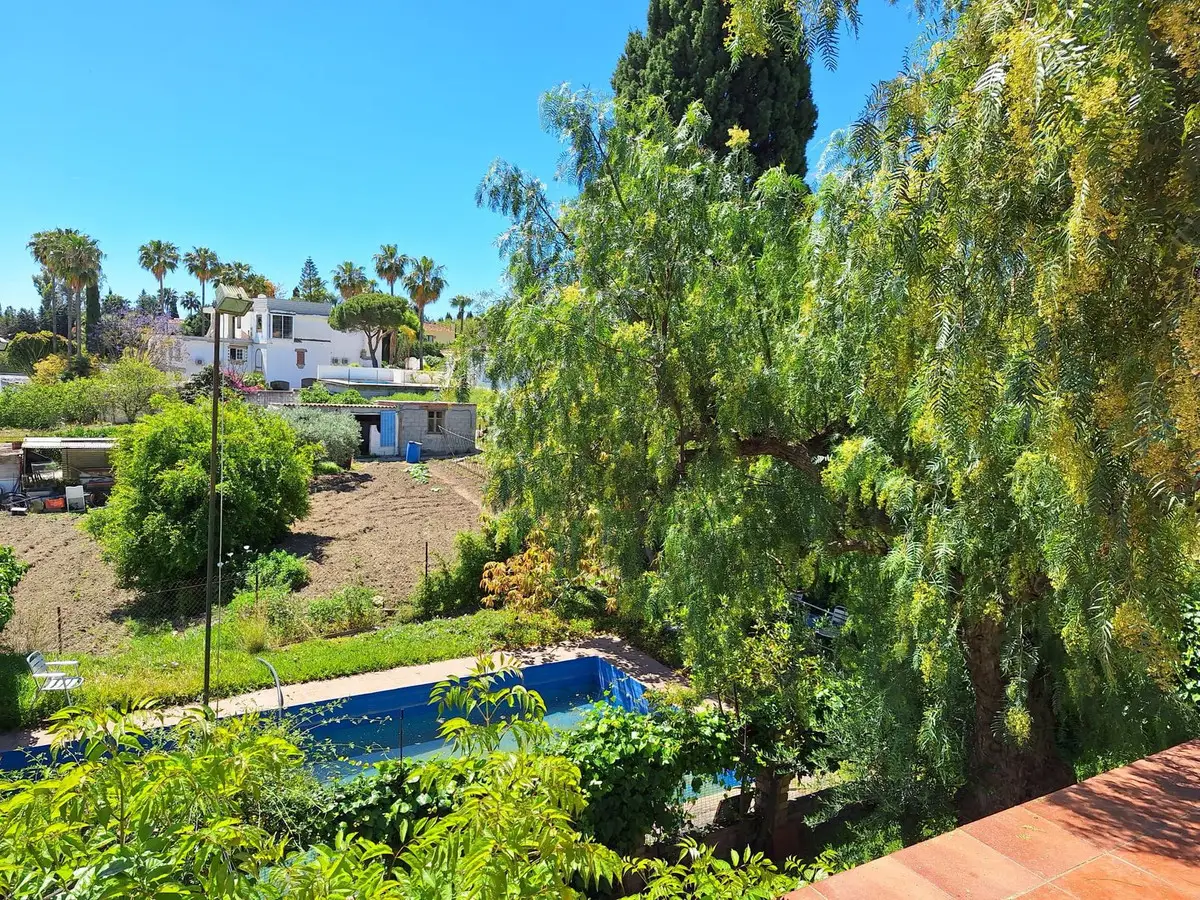 Finca - Cortijo for sale in Estepona — photo 1