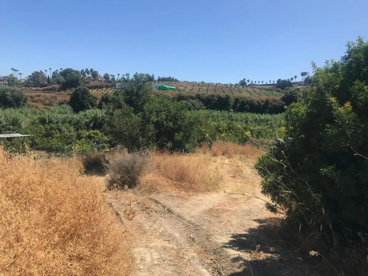 Land for sale in Estepona — photo 1