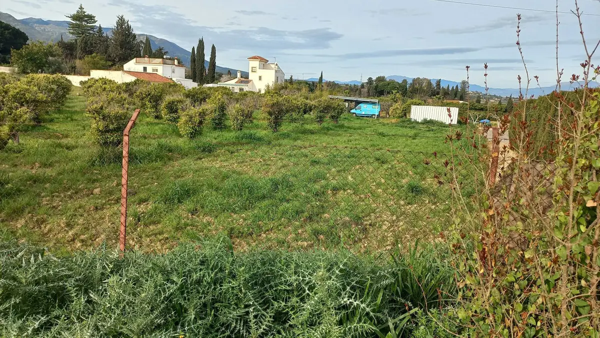 Land for sale in Alhaurín de la Torre — photo 1