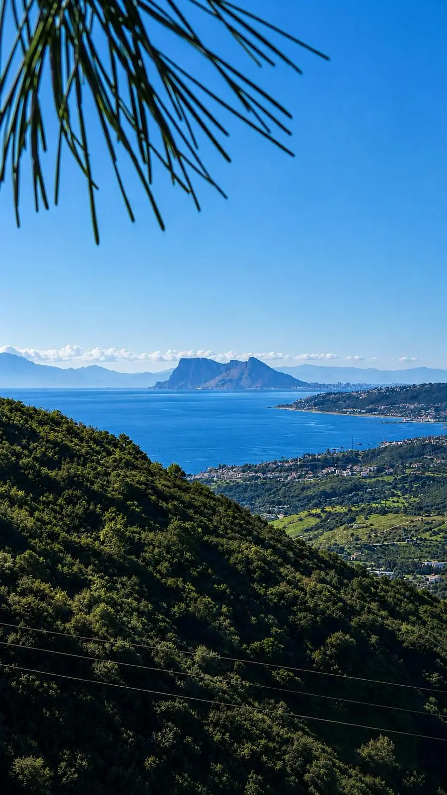 Land for sale in Estepona — photo 1