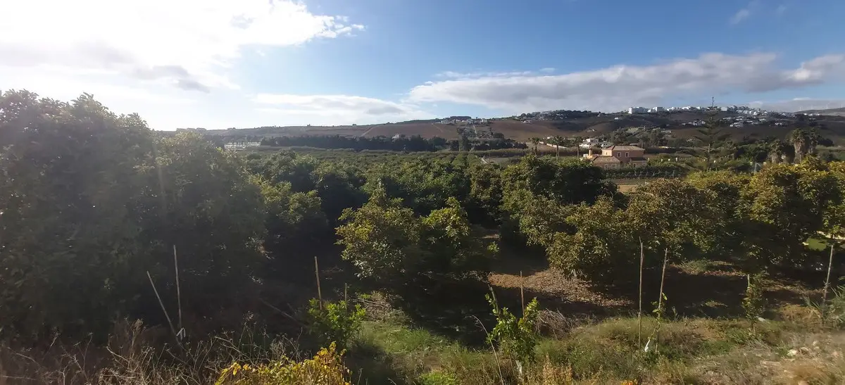 Land for sale in Estepona — photo 1