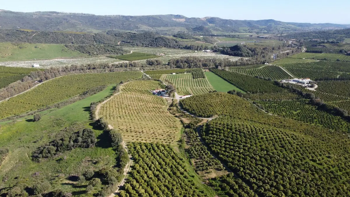 Land for sale in Casares — photo 1