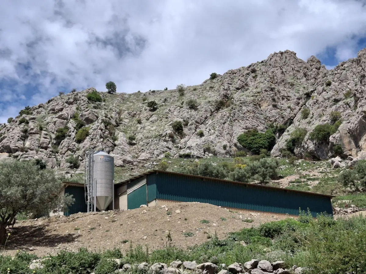 Land for sale in Alfarnatejo — photo 1