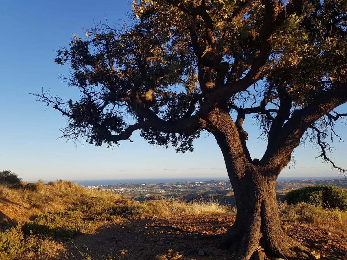 Land for sale in Valtocado — photo 1