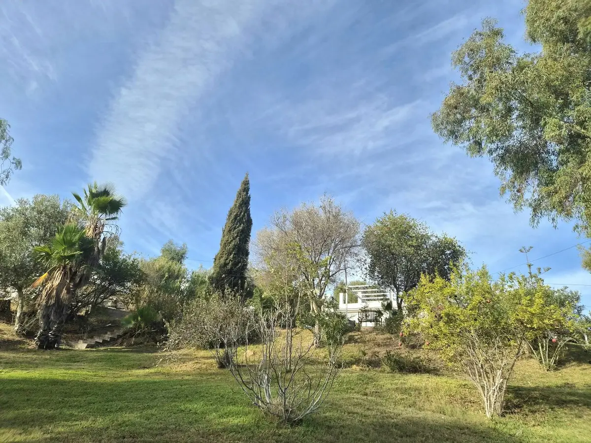 Finca - Cortijo for sale in Estacion de Cartama — photo 1