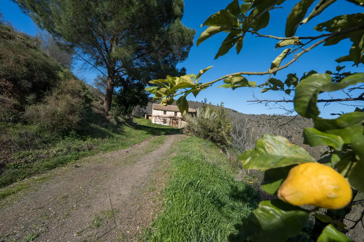 Detached Villa for sale in Colmenar — photo 1