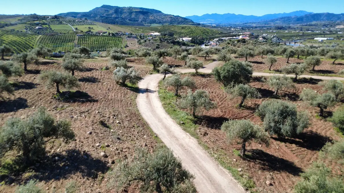 Residential Plot for sale in Alora — photo 1