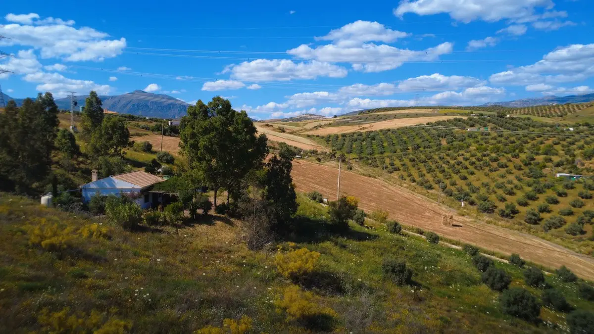 Finca - Cortijo for sale in Alora — photo 1