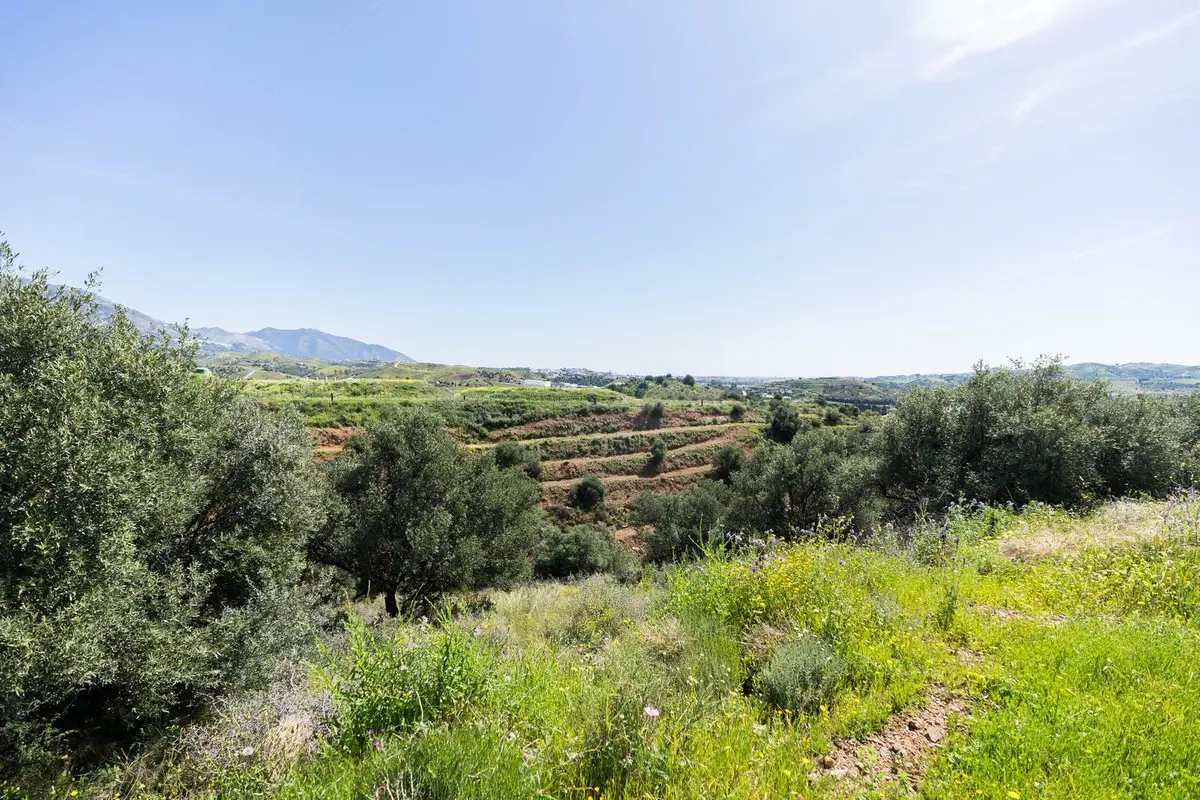 Land for sale in Mijas — photo 1