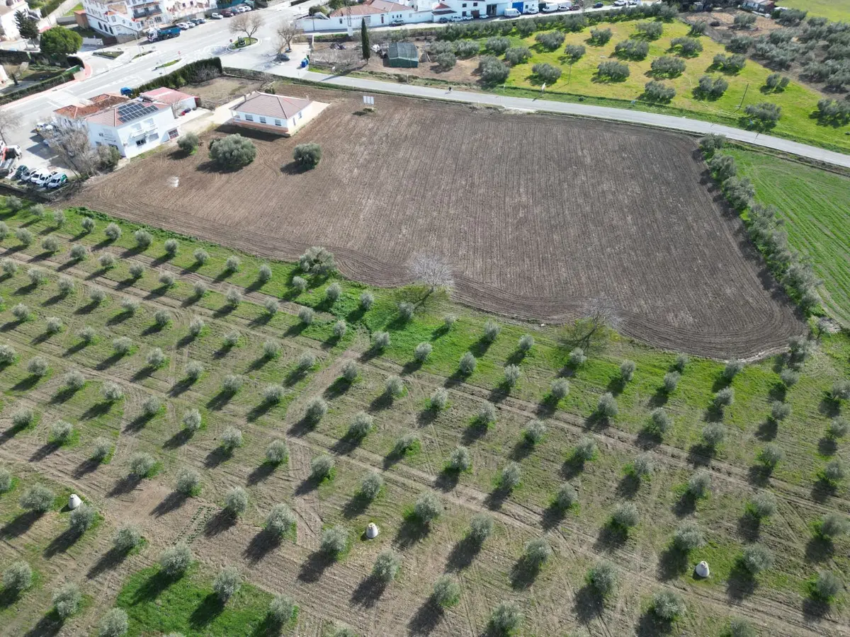 Residential Plot for sale in Cuevas del Becerro — photo 1