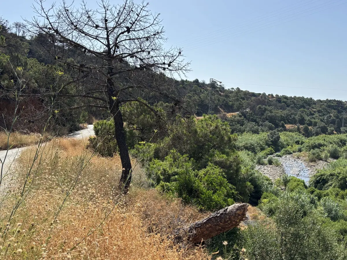 Land for sale in El Padron — photo 1