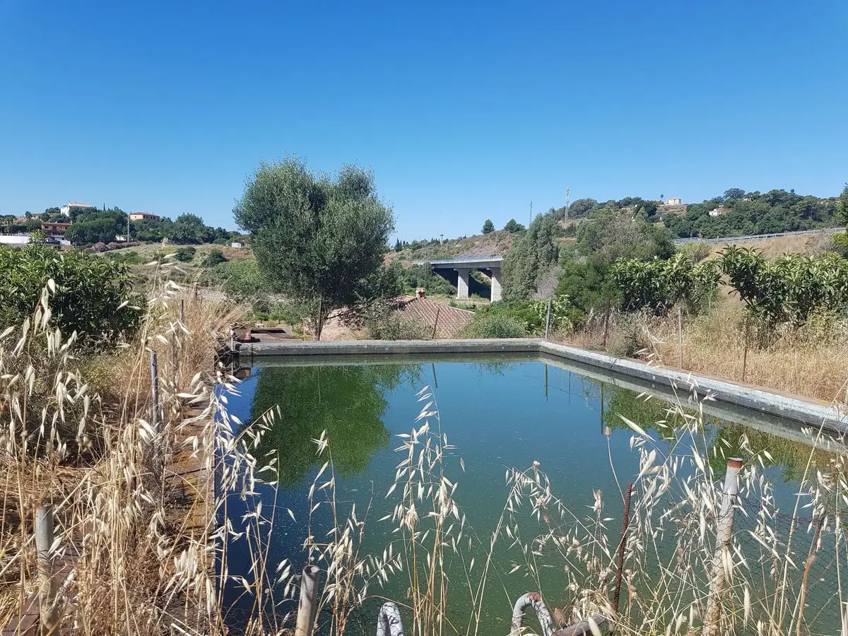 Finca - Cortijo for sale in Estepona — photo 1