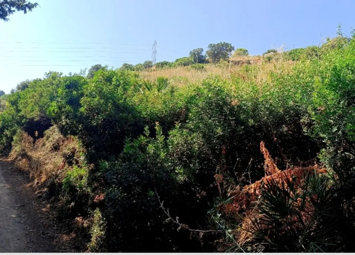 Land for sale in Estepona — photo 1