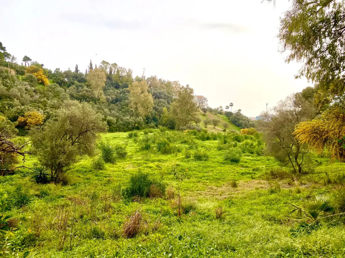 Residential Plot for sale in Benahavís — photo 1