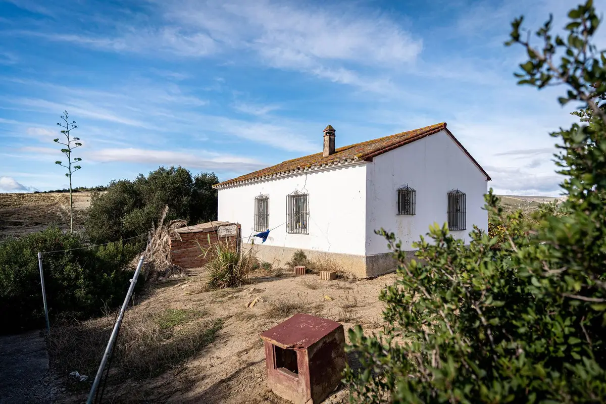 Finca - Cortijo for sale in Manilva — photo 1