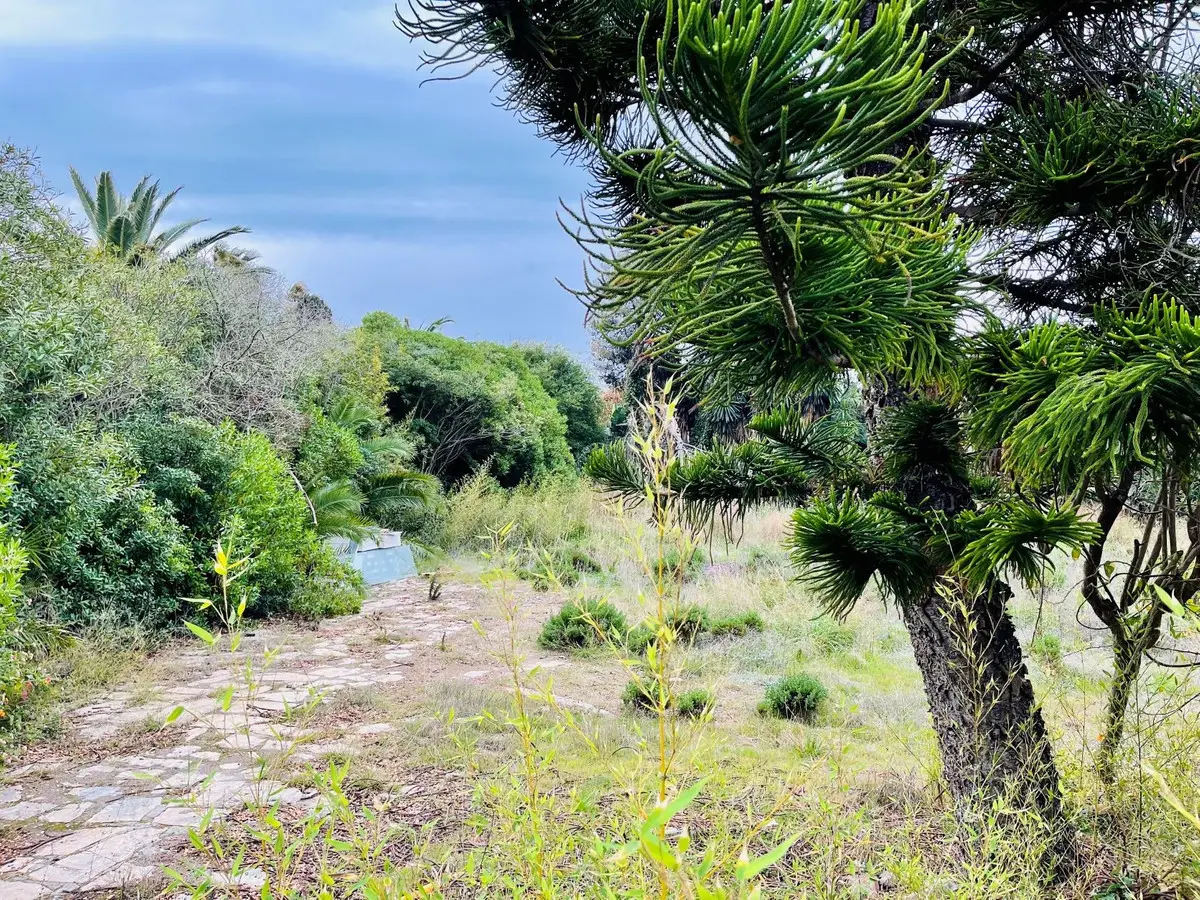 Residential Plot for sale in Estepona — photo 1
