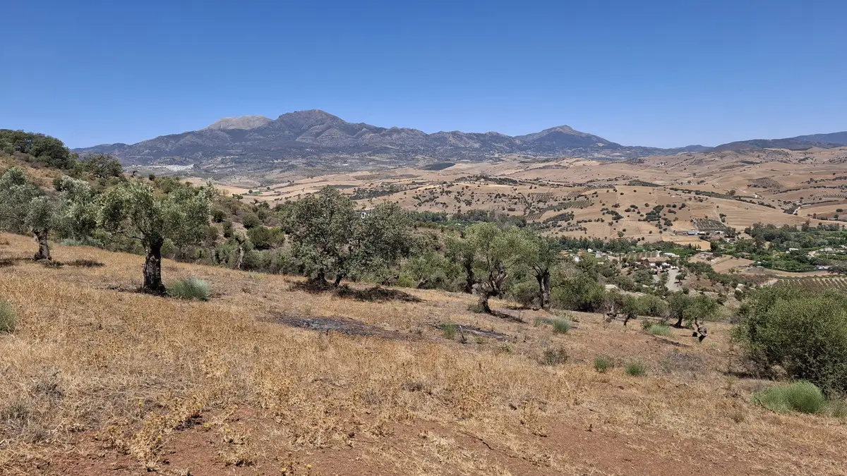Land for sale in Coín — photo 1