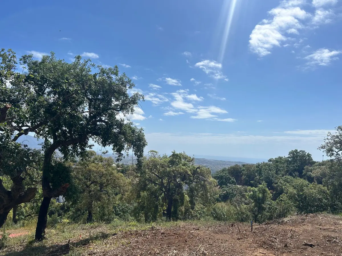 Residential Plot for sale in La Mairena — photo 1