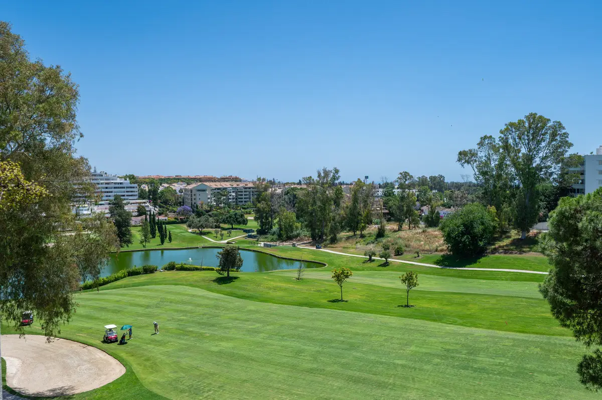 Penthouse Duplex for sale in Guadalmina Alta — photo 1