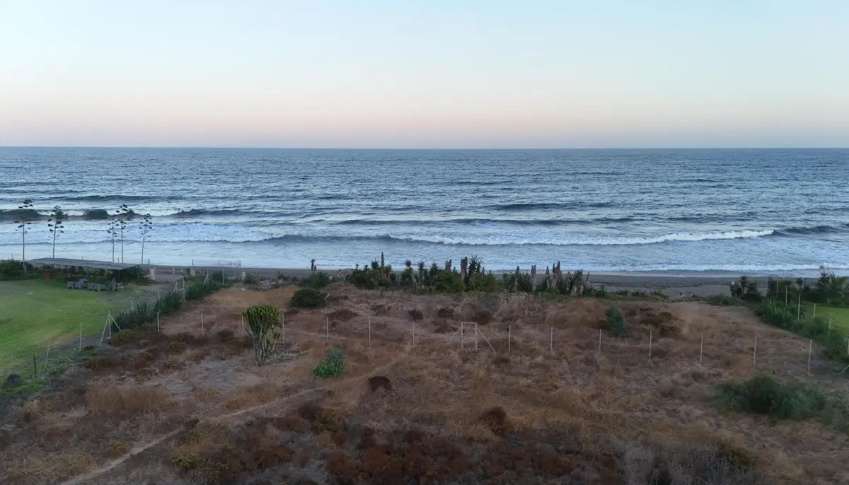 Land for sale in Guadalmina Baja — photo 1