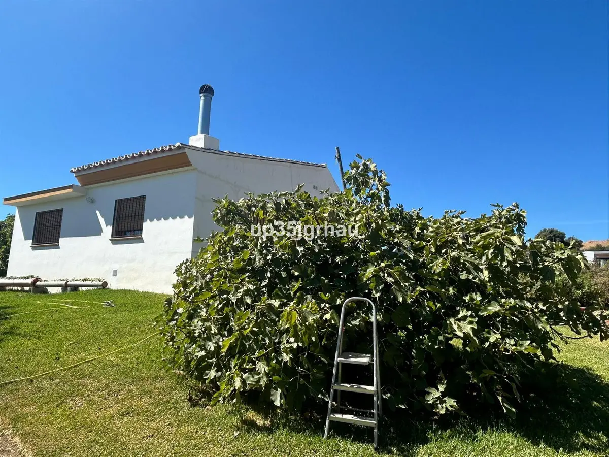 Finca - Cortijo for sale in Estepona — photo 1