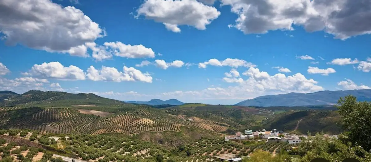 Residential Plot for sale in Antequera — photo 1