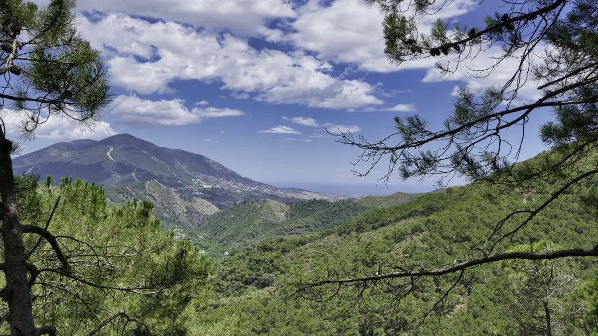 Land for sale in Coín — photo 1