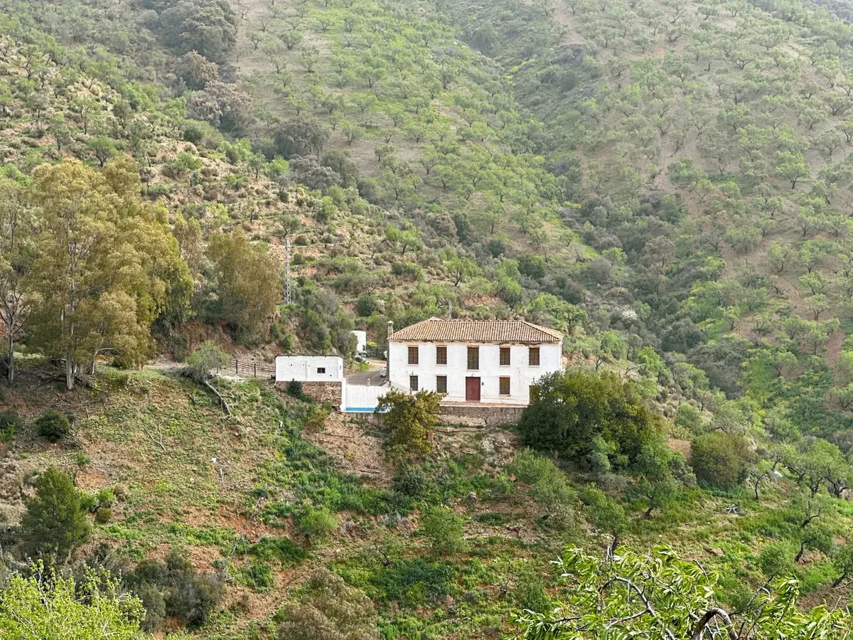 Finca - Cortijo for sale in Pinares de San Antón — photo 1