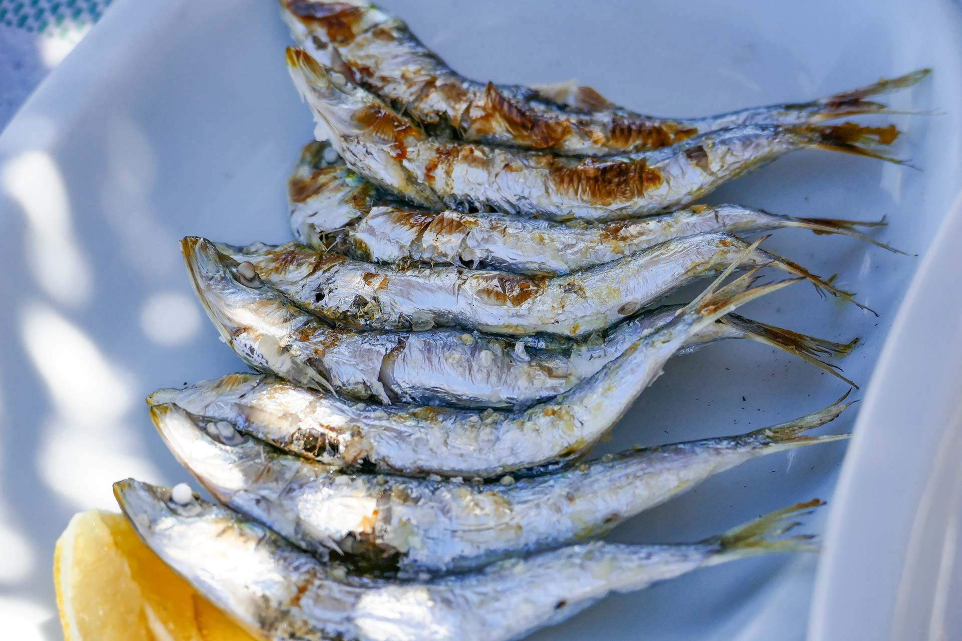 Les sardines fraîchement grillées règnent en maître