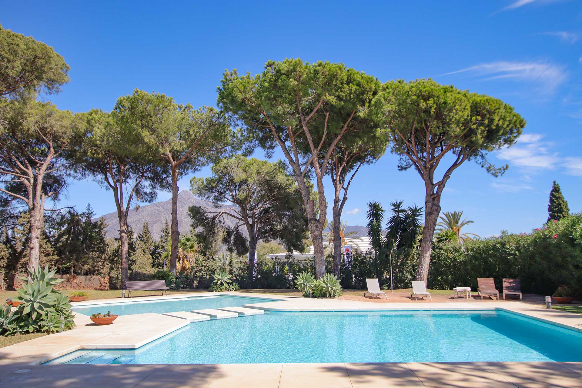 Outdoor swimming pool with views of La Concha mountain in a Marbella penthouse.