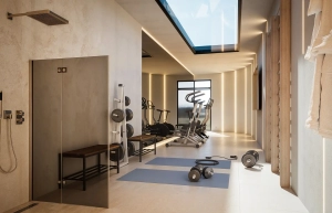 Interior view of a modern home gym featuring exercise equipment and weights.